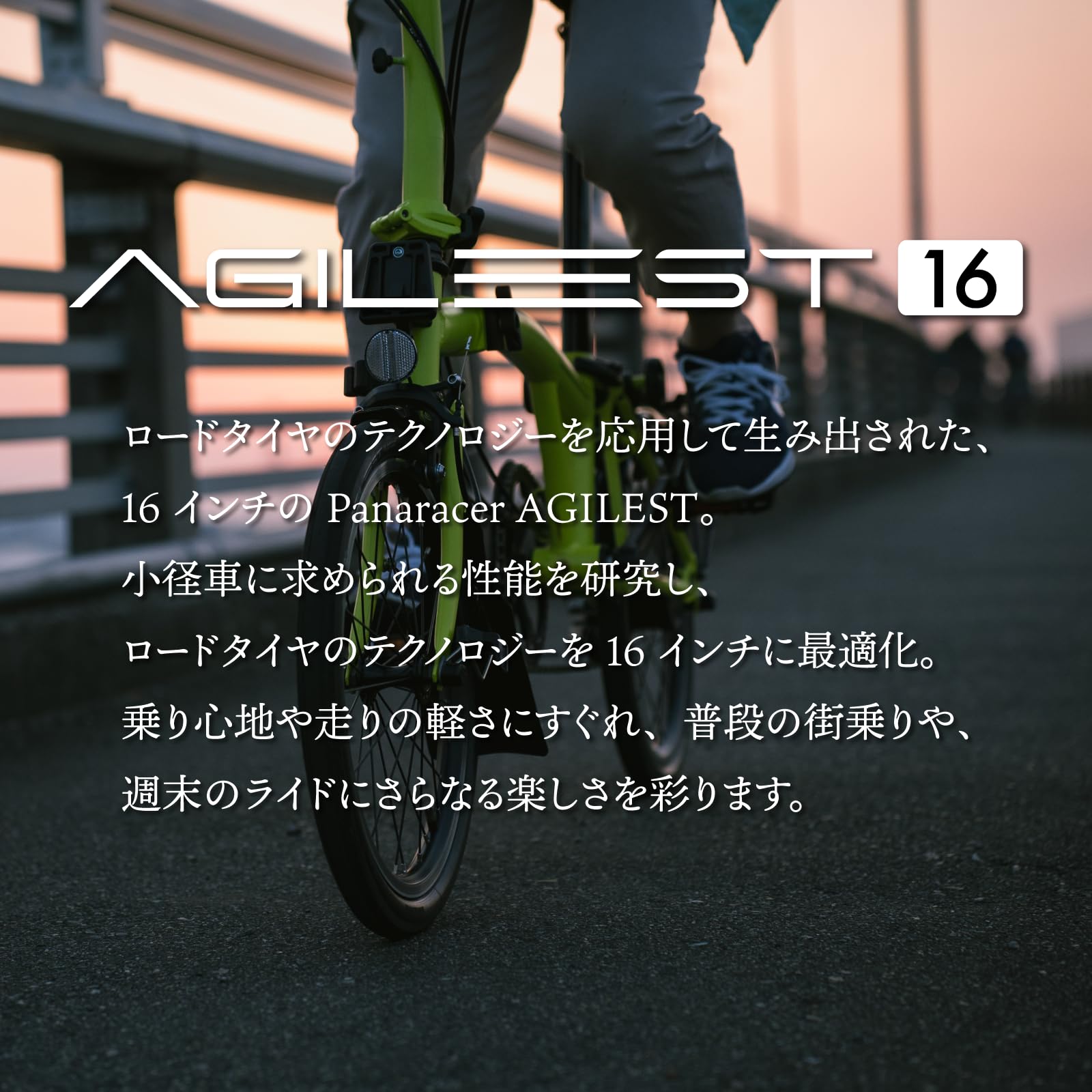 Amazon | パナレーサー(Panaracer) アジリスト 16×1.35 (35-349